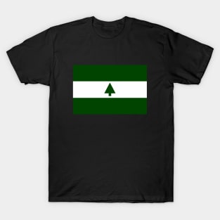 Flag of Greenbelt, Maryland T-Shirt